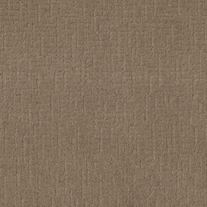 Shaw Floors Carpet One More Hour Stucco Tan 00723_ZZ233