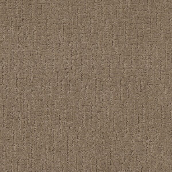 Shaw Floors Carpet One More Hour Stucco Tan 00723_ZZ233