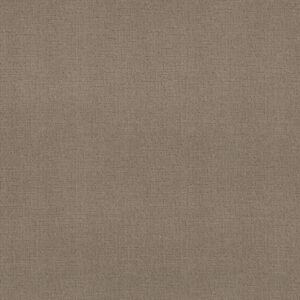 Shaw Floors Carpet One More Hour Grain 00751_ZZ233