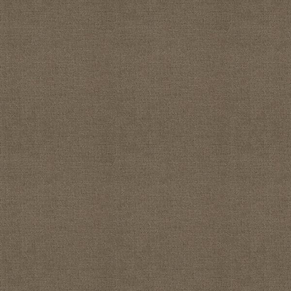 Shaw Floors Carpet One More Hour Porous Stone 00755_ZZ233