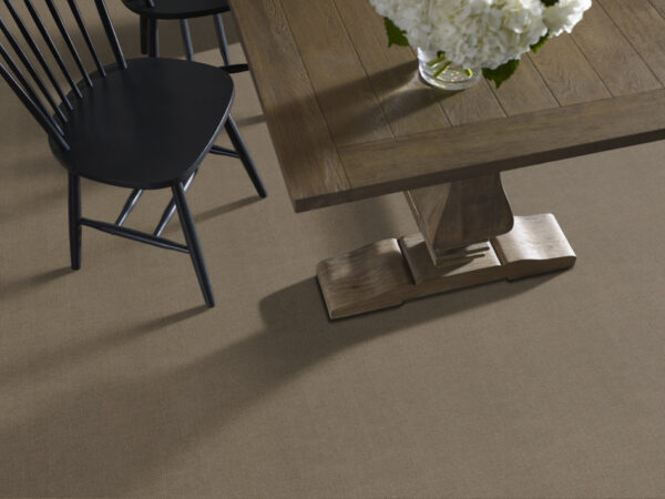 Shaw Floors Carpet One More Hour Porous Stone 00755_ZZ233 - Image 2
