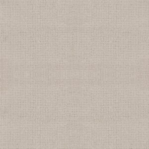 Anderson Tuftex Carpet Lyric Balanced 00121_ZZ257