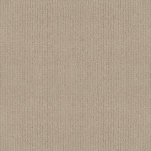 Anderson Tuftex Carpet Lyric Blonde 00122_ZZ257