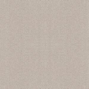 Anderson Tuftex Carpet Lyric Nomadic 00171_ZZ257