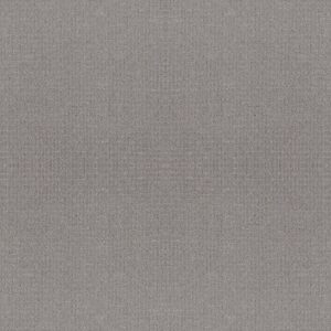 Anderson Tuftex Carpet Lyric Sensible 00553_ZZ257