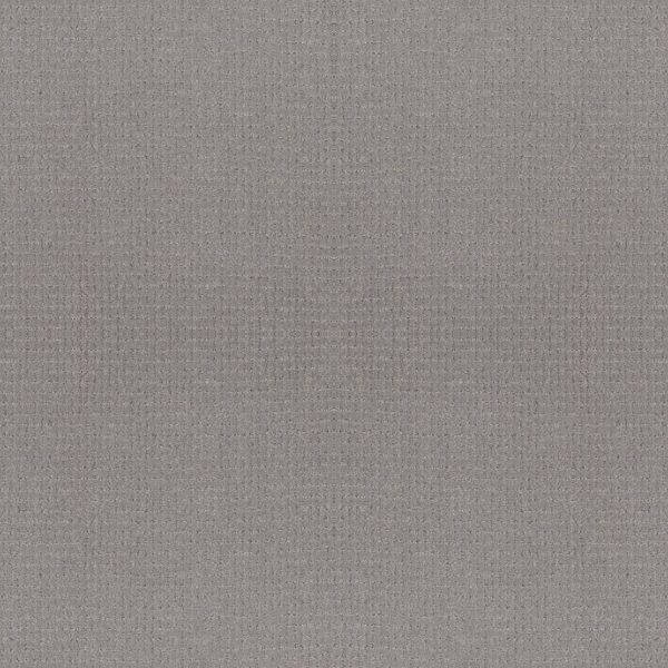 Anderson Tuftex Carpet Lyric Sensible 00553_ZZ257