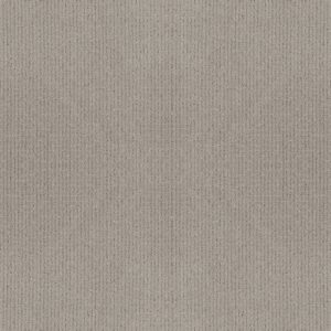 Anderson Tuftex Carpet Lyric Mindful 00572_ZZ257