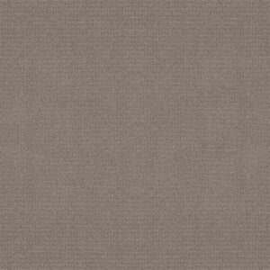 Anderson Tuftex Carpet Lyric Connected 00576_ZZ257