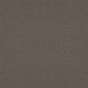 Anderson Tuftex Carpet Lyric Shade 00578_ZZ257
