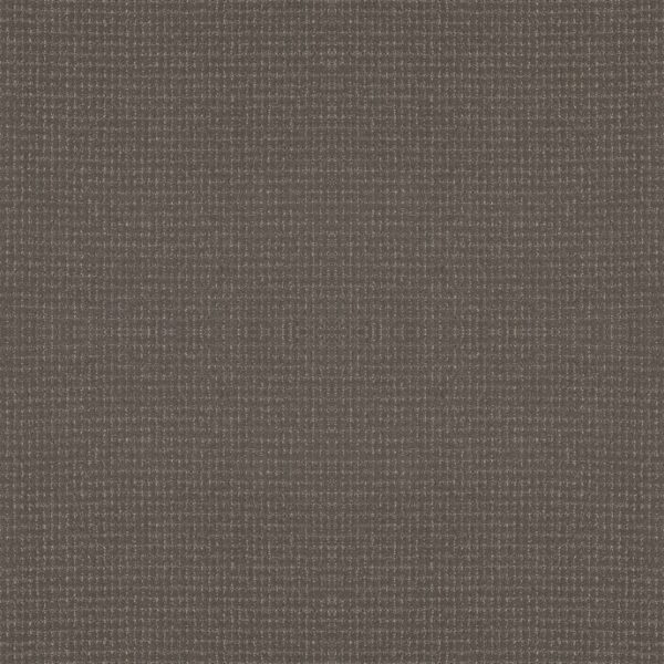 Anderson Tuftex Carpet Lyric Shade 00578_ZZ257