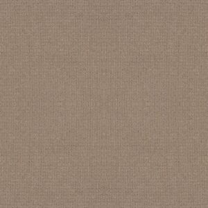 Anderson Tuftex Carpet Lyric Camelback 00673_ZZ257