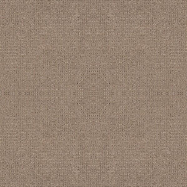 Anderson Tuftex Carpet Lyric Camelback 00673_ZZ257