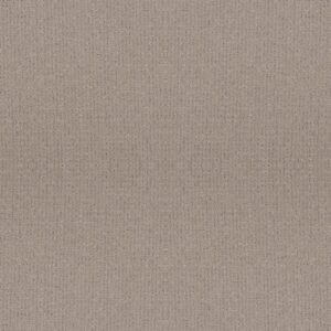 Anderson Tuftex Carpet Lyric Grounded 00753_ZZ257
