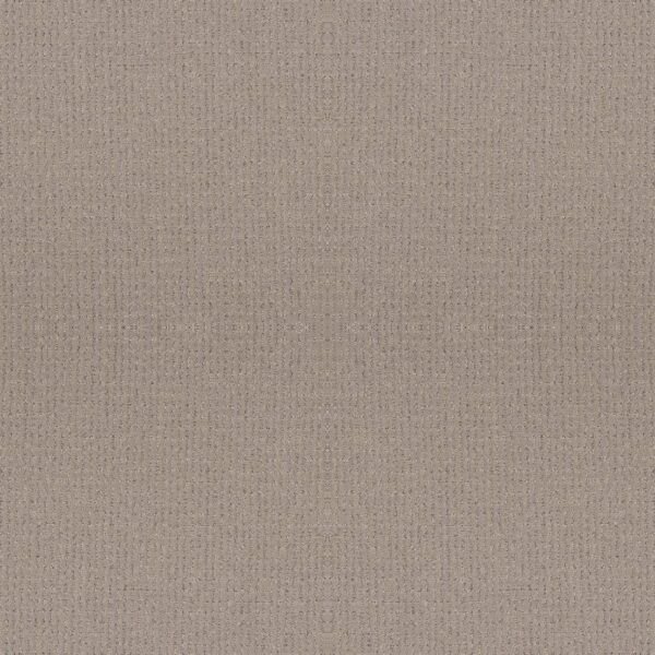 Anderson Tuftex Carpet Lyric Grounded 00753_ZZ257