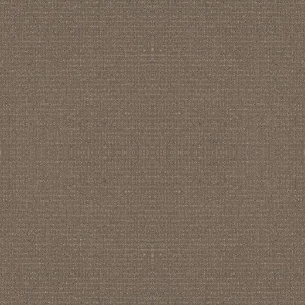 Anderson Tuftex Carpet Lyric Sable 00775_ZZ257