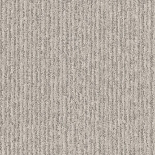 Anderson Tuftex Carpet Sneak Peek Coconut Ice 00171_ZZ260