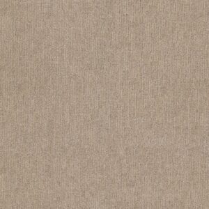 Anderson Tuftex Carpet Sneak Peek Canyon Dust 00173_ZZ260