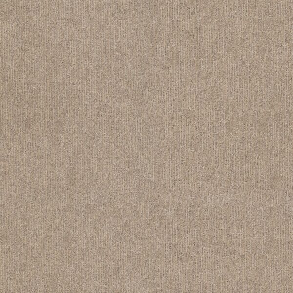 Anderson Tuftex Carpet Sneak Peek Canyon Dust 00173_ZZ260