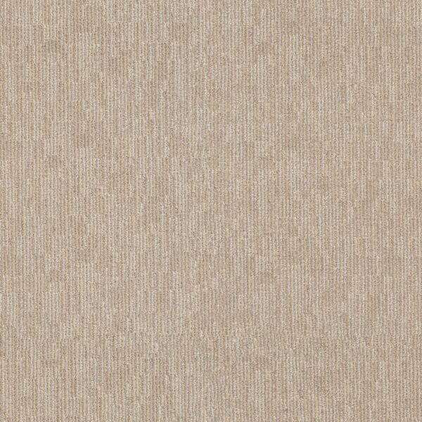 Anderson Tuftex Carpet Sneak Peek Almond Latte 00211_ZZ260