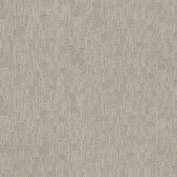 Anderson Tuftex Carpet Sneak Peek Morning Zen 00313_ZZ260