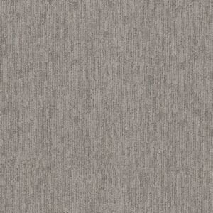 Anderson Tuftex Carpet Sneak Peek Still Gray 00554_ZZ260