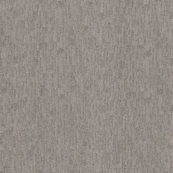 Anderson Tuftex Carpet Sneak Peek Still Gray 00554_ZZ260