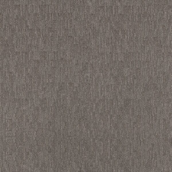 Anderson Tuftex Carpet Sneak Peek Magnetic 00556_ZZ260