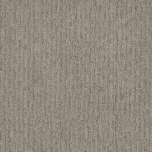 Anderson Tuftex Carpet Sneak Peek Nightingale 00572_ZZ260