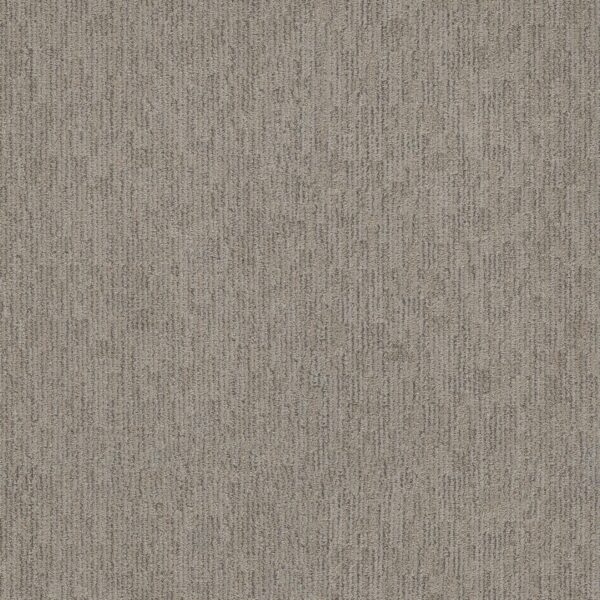 Anderson Tuftex Carpet Sneak Peek Nightingale 00572_ZZ260
