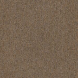 Anderson Tuftex Carpet Sneak Peek Leather Work 00767_ZZ260