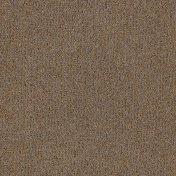 Anderson Tuftex Carpet Sneak Peek Leather Work 00767_ZZ260