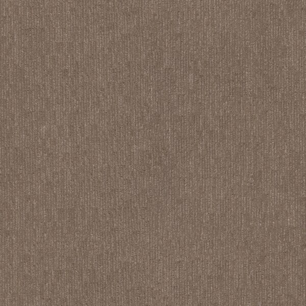 Anderson Tuftex Carpet Sneak Peek Caffeine 00775_ZZ260