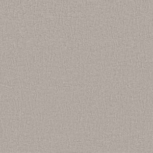 Anderson Tuftex Carpet Chit Chat Coconut Ice 00171_ZZ261