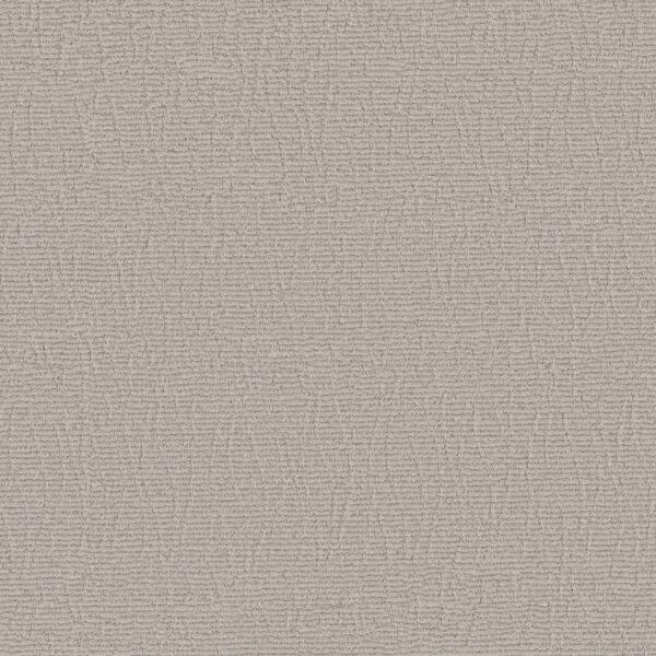 Anderson Tuftex Carpet Chit Chat Coconut Ice 00171_ZZ261