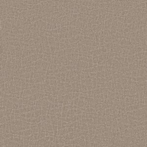 Anderson Tuftex Carpet Chit Chat Canyon Dust 00173_ZZ261