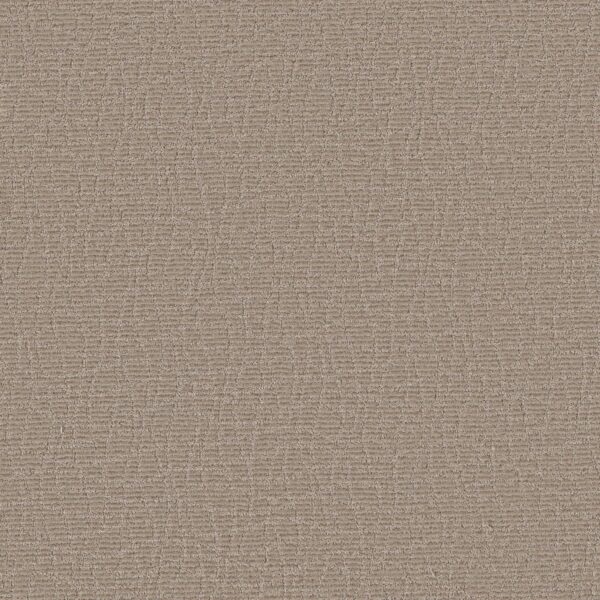 Anderson Tuftex Carpet Chit Chat Canyon Dust 00173_ZZ261