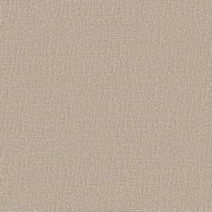 Anderson Tuftex Carpet Chit Chat Almond Latte 00211_ZZ261