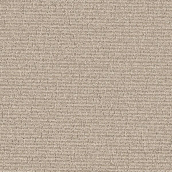 Anderson Tuftex Carpet Chit Chat Almond Latte 00211_ZZ261