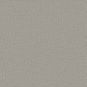 Anderson Tuftex Carpet Chit Chat Morning Zen 00313_ZZ261