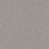 Anderson Tuftex Carpet Chit Chat Campfire Ash 00552_ZZ261