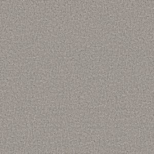Anderson Tuftex Carpet Chit Chat Campfire Ash 00552_ZZ261