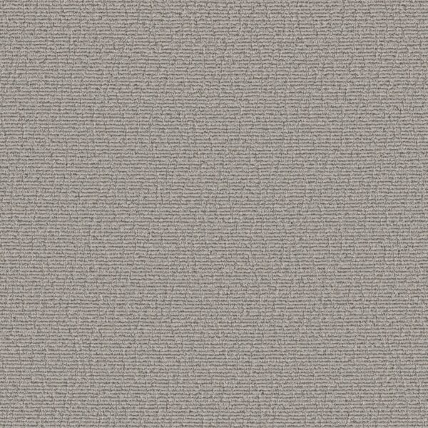 Anderson Tuftex Carpet Chit Chat Campfire Ash 00552_ZZ261