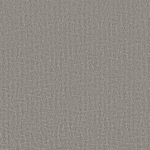 Anderson Tuftex Carpet Chit Chat Still Gray 00554_ZZ261