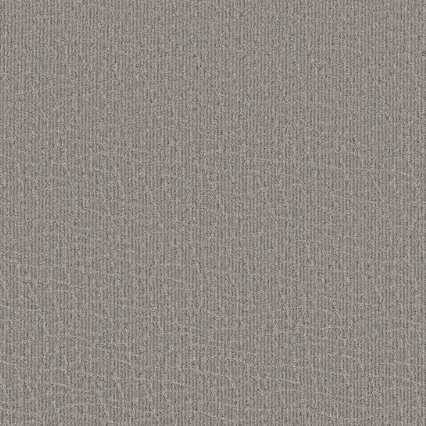 Anderson Tuftex Carpet Chit Chat Still Gray 00554_ZZ261