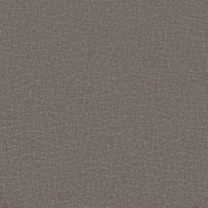 Anderson Tuftex Carpet Chit Chat Magnetic 00556_ZZ261