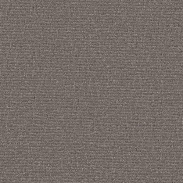 Anderson Tuftex Carpet Chit Chat Magnetic 00556_ZZ261
