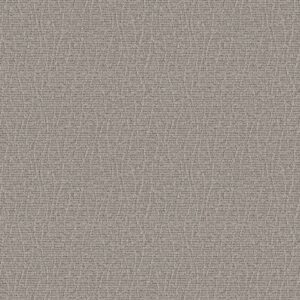 Anderson Tuftex Carpet Chit Chat Nightingale 00572_ZZ261