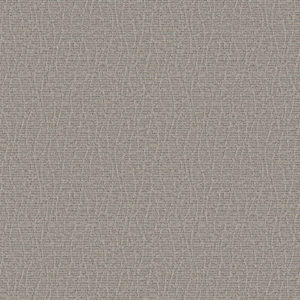Anderson Tuftex Carpet Chit Chat Nightingale 00572_ZZ261