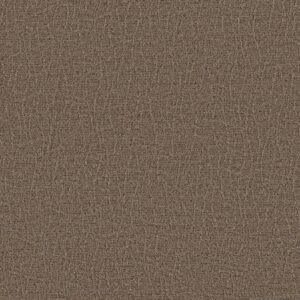 Anderson Tuftex Carpet Chit Chat Leather Work 00767_ZZ261
