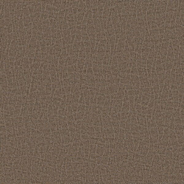Anderson Tuftex Carpet Chit Chat Leather Work 00767_ZZ261